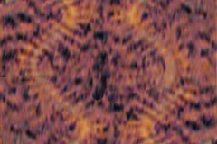 Tie Dyed Tapestry in Orange